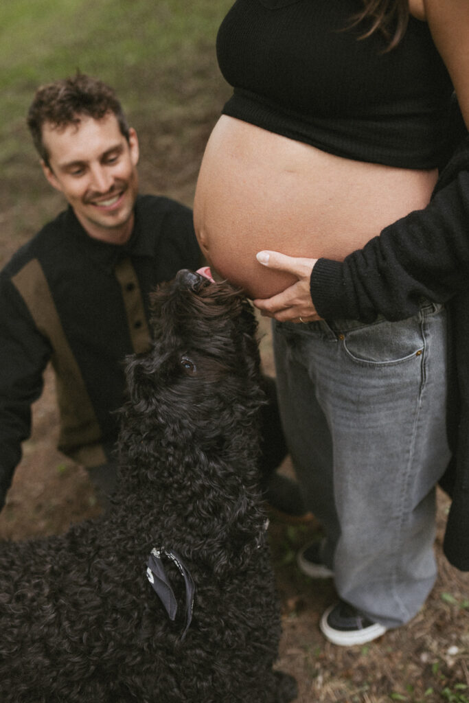 Close of of Banjo giving Ang's belly a sweet dog kiss during their Fernie maternity session